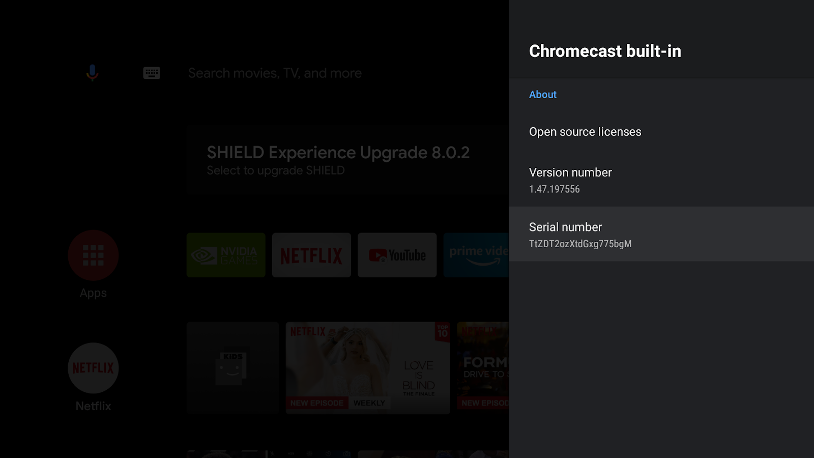 Obraz ekranu Android TV z widocznym ekranem „Google Cast”, numerem wersji i numerem seryjnym