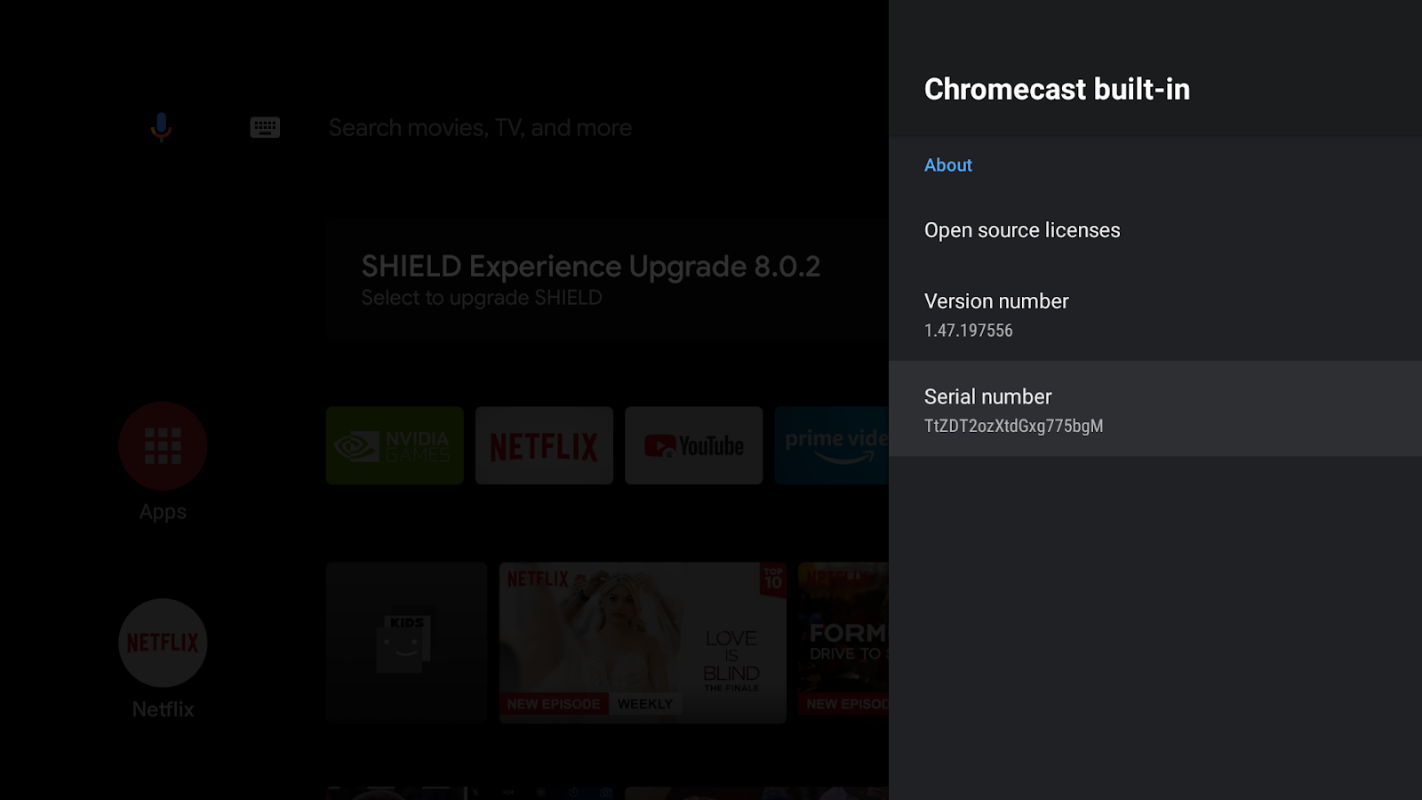 Immagine di uno schermo di Android TV che mostra la schermata &quot;Chromecast integrato&quot;, il numero di versione e il numero di serie