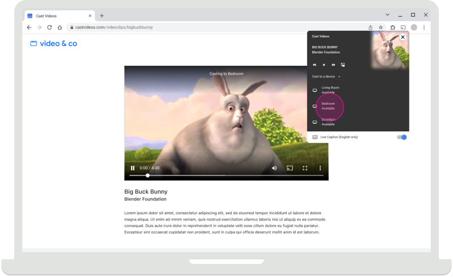 Selecione um destinatário