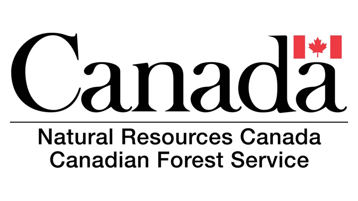 Logo del proprietario del catalogo