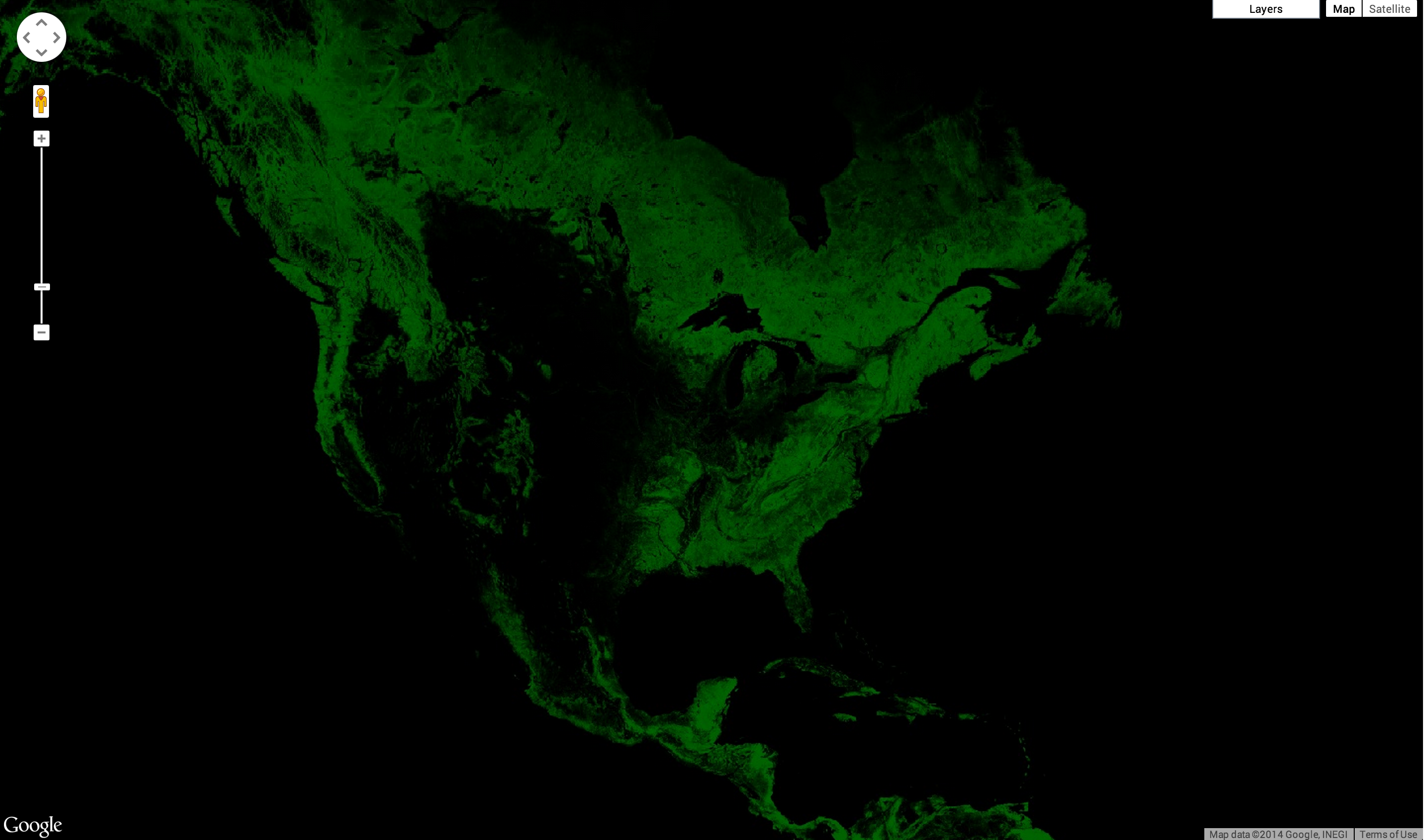 forest extent NA