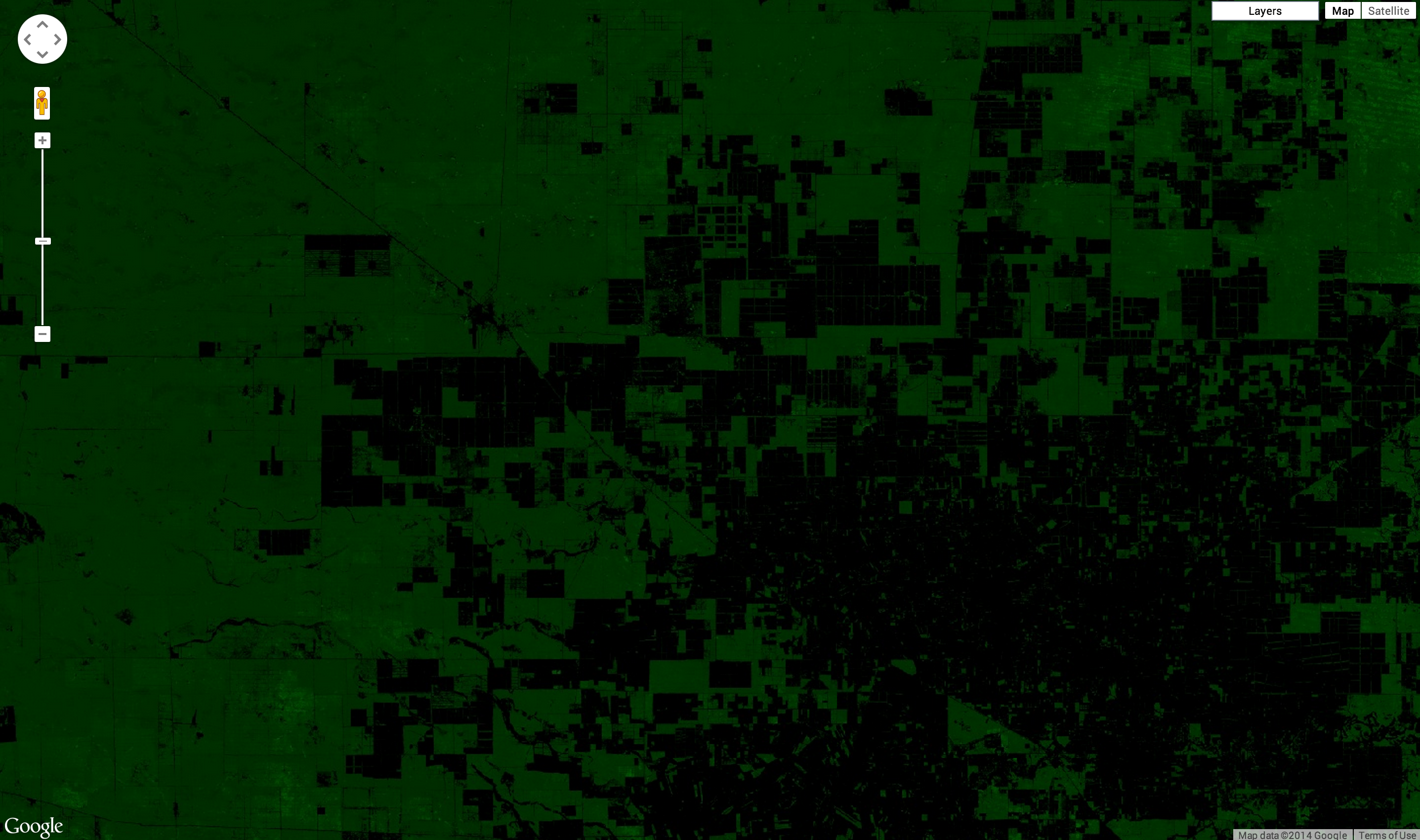 巴拉圭的森林面积