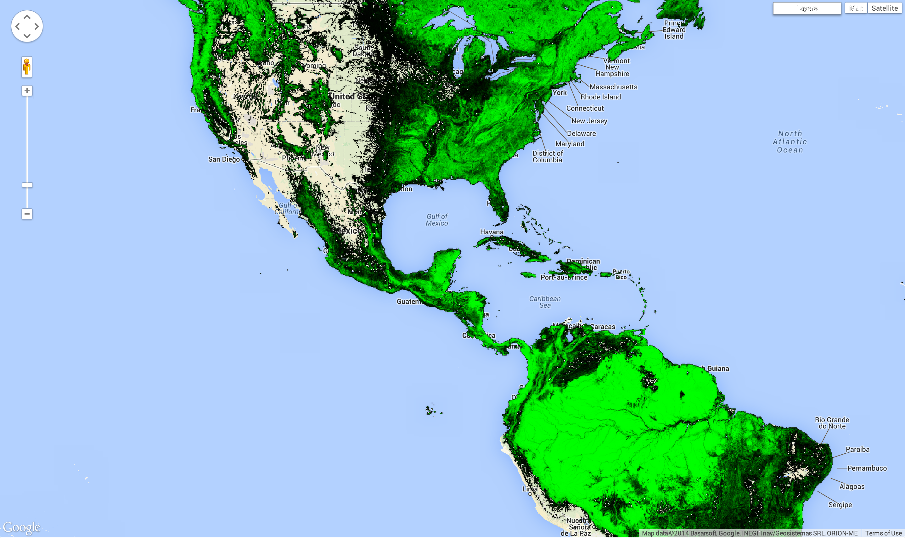 Americas treecover