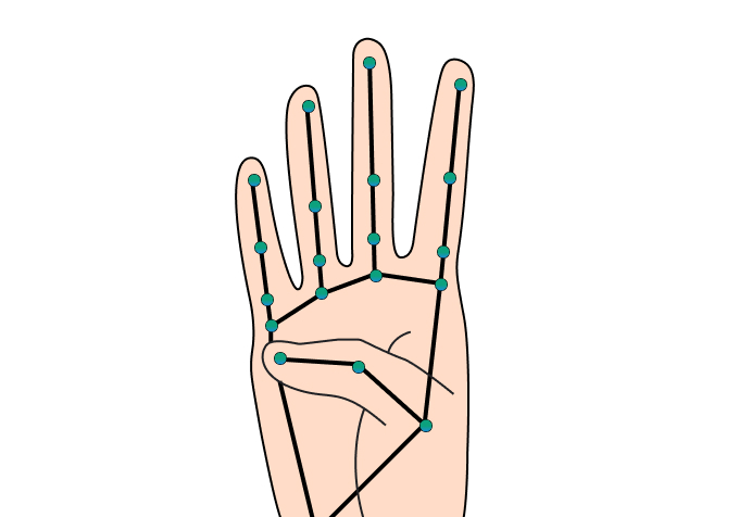 Illustration of a human hand with tracking landmark points.