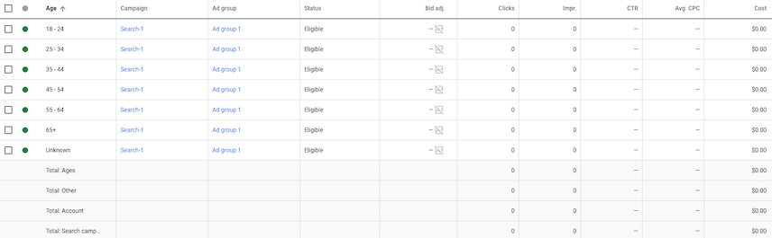 Google Ads UI Age screen