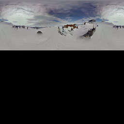 ज़ूम लेवल ज़ीरो