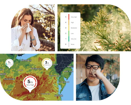 Коллаж из изображений чихающих людей и рендеров, полученных с помощью Pollen API.