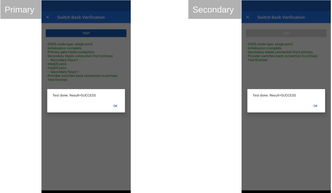 Figura 16: vengono mostrati i risultati di un test riuscito. Figura 16: vengono mostrati i risultati di un test riuscito.