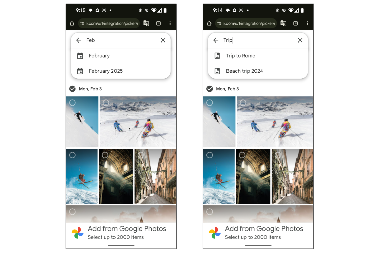 Capture d'écran de la recherche d'images et de vidéos