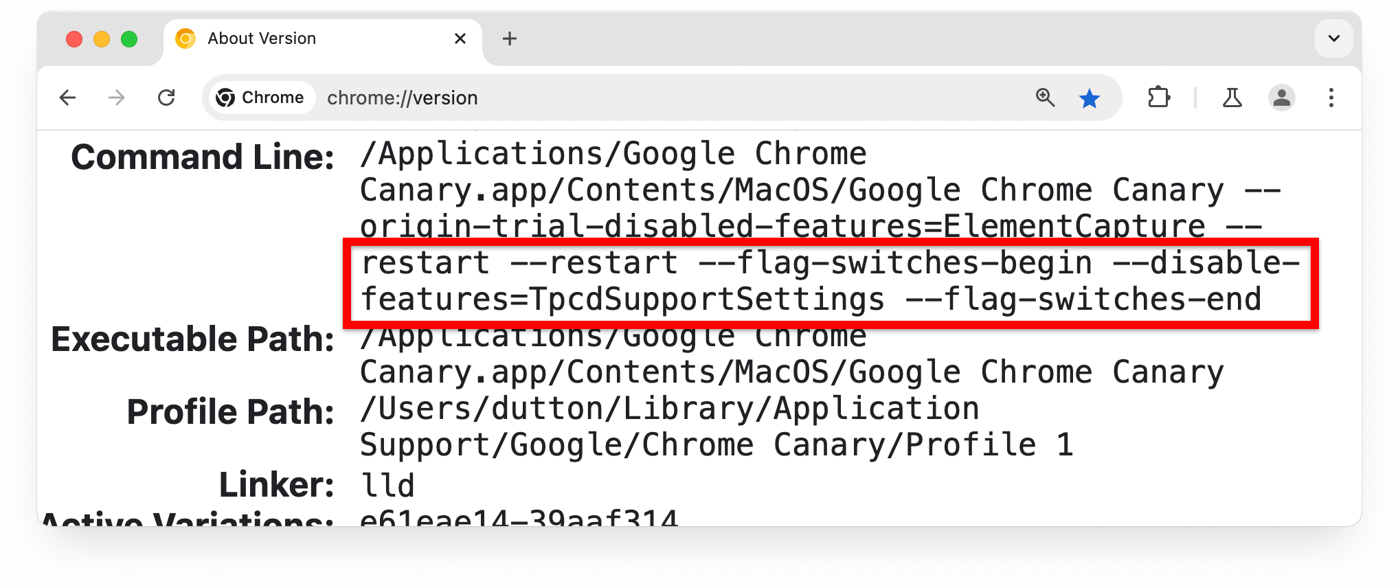 chrome://version page with a flag in the Command Line section highlighted