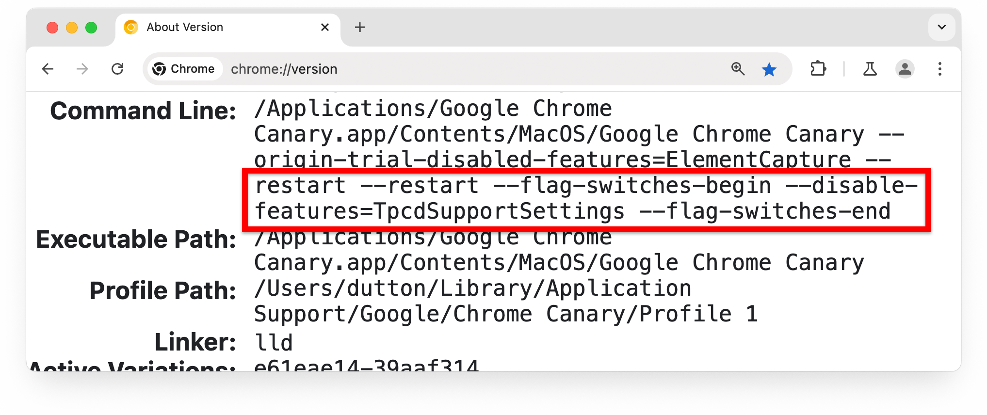 Halaman chrome://version dengan tanda di bagian Command Line ditandai