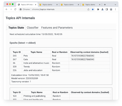 به داخل Topics API در chrome://topics-internals نگاهی بیندازید.