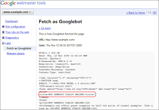 the webmaster tools fetch as googlebot feature shows additional details about the successful fetch