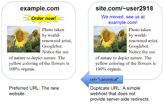 diagram showing rel-canonical in action by one page pointing to the other