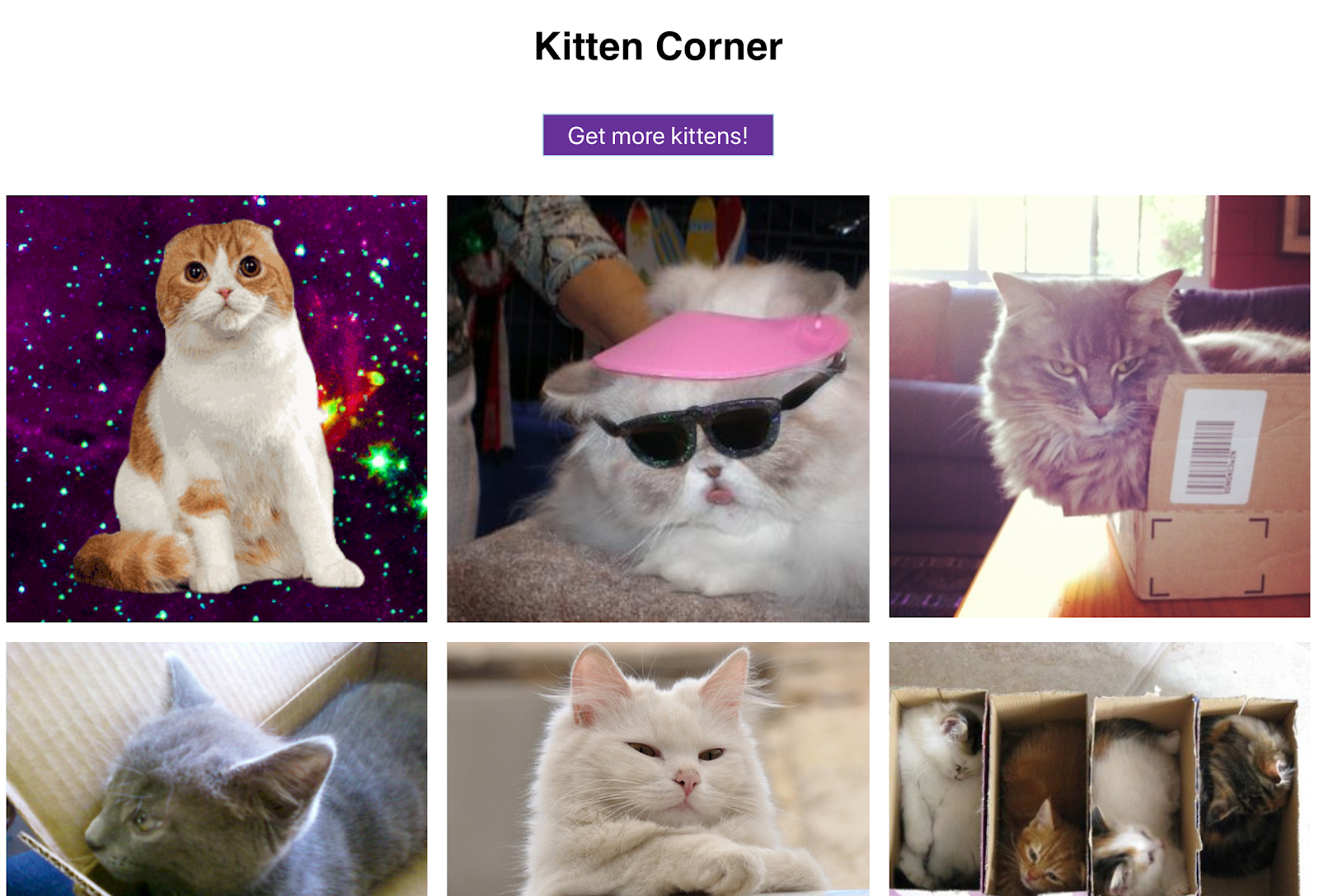 Cute cat images in a grid and a button to show more - this web app truly has it all!