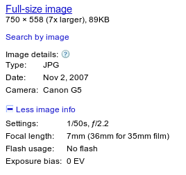 Google Images feature showing EXIF and other metadata for an image