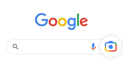 “Google 智能镜头”按钮位于 Google 搜索应用中的搜索框右侧