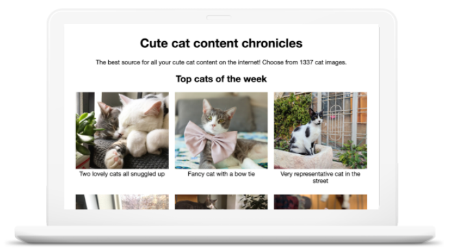 Witryna z sześcioma różnymi zdjęciami kotów. Tytuł witryny to „Cute cat content chronicles” (Zdjęcia słodkich kociaków).