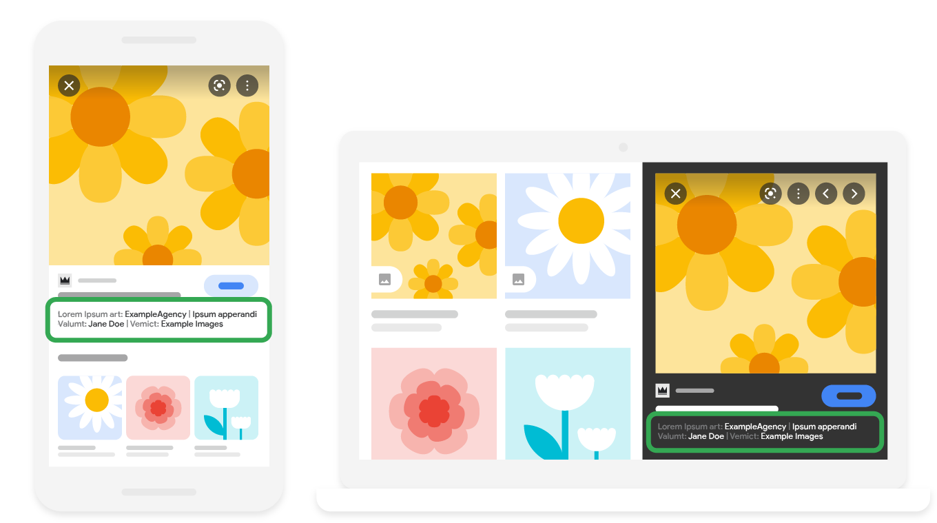Exemple de métadonnées d'image dans Google Images
