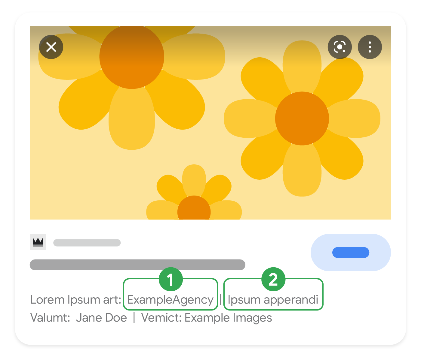 Texto destacado que muestra qué partes de los metadatos de la licencia pueden aparecer en Google Imágenes