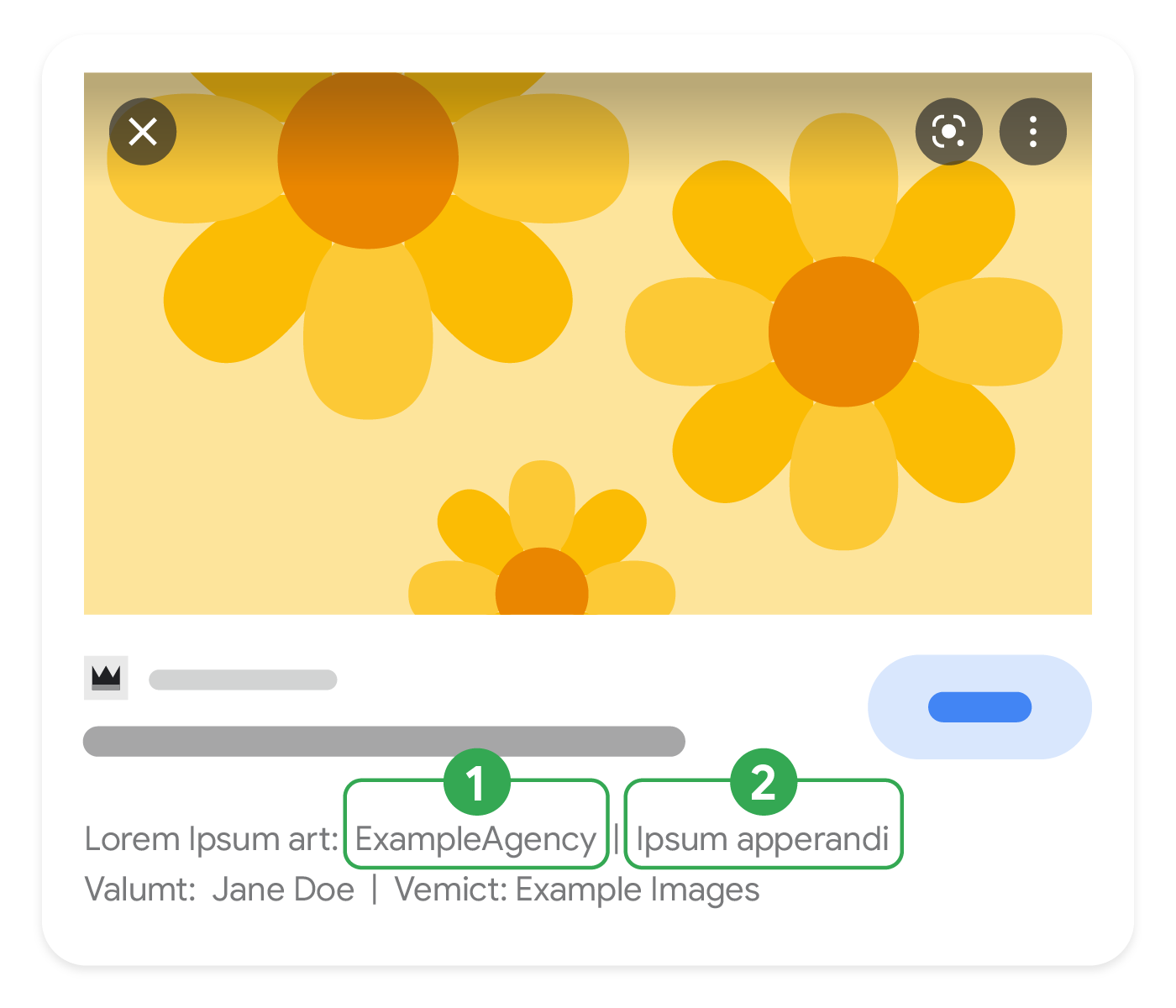 وسائل شرح توضّح أجزاء بيانات الترخيص الوصفية التي يمكن عرضها في "صور بحث Google"
