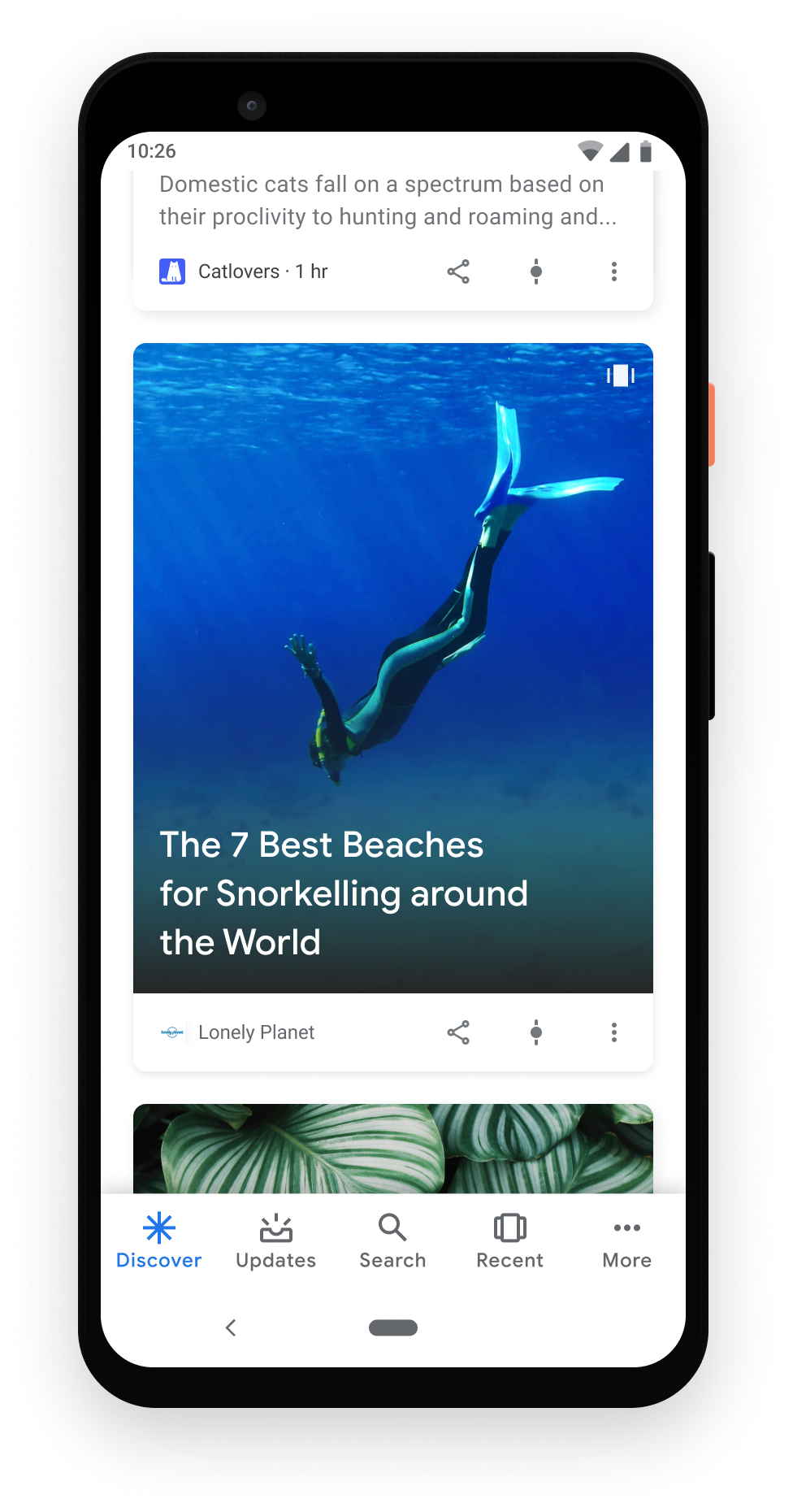 Web Story as a single card in Google Discover