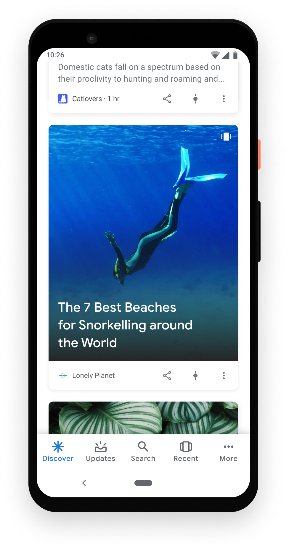 Web Stories เป็นการ์ดเดี่ยวใน Google Discover