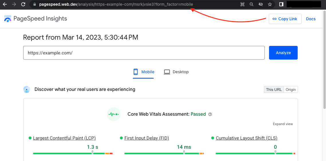 Capture d'écran des liens partageables dans l'UI PageSpeed Insights.