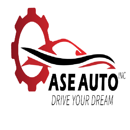 ASE AUTO INC のロゴ