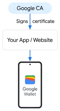 Direct Relying Party 1:1 model where Google CA signs your certificate