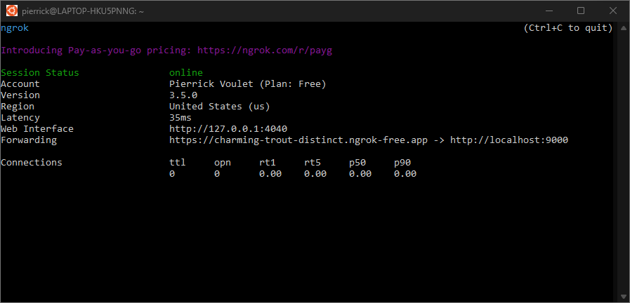 Il terminale con il server ngrok in esecuzione e il reindirizzamento.