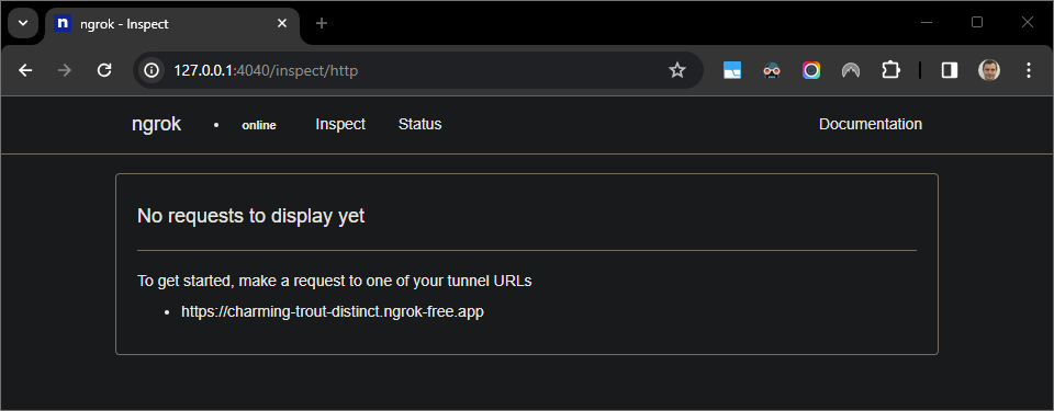 Interfejs internetowy hostowany przez aplikację „ngrok” nie wyświetlający żadnych żądań HTTP