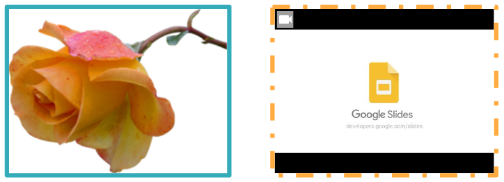 Image and video outline sample
result.